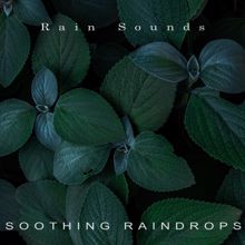 Rain Sounds: Soothing Raindrops