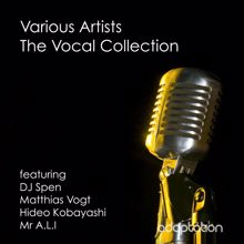 Various Artists: The Vocal Collection