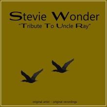 Stevie Wonder: Tribute to Uncle Ray