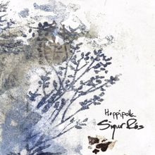 Sigur Rós: Hoppípolla