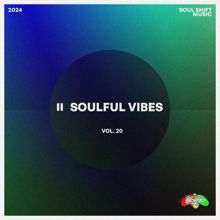 Various Artists: Soulful Vibes, Vol. 20