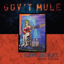 Gov't Mule: Hiding Place