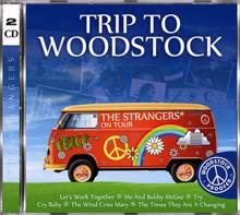 The Strangers: Trip To Woodstock