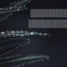 Rain Sounds: Fresh Cold Rain Sounds