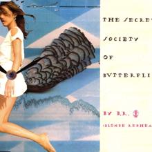 Blonde Redhead: The Secret Society Of Butterflies