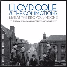Lloyd Cole And The Commotions: Forest Fire (BBC Session 1984) (Forest Fire)