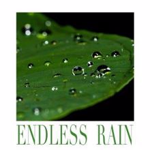 Rain Sounds: Endless Rain