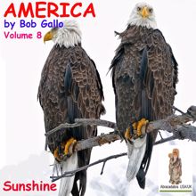 Bob Gallo: America, Vol 8. You Are My Sunshine