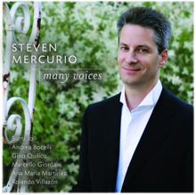 Steven Mercurio: Song in Chaos