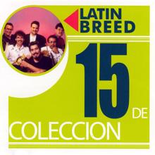 Latin Breed: 15 De Coleccion