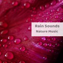 Rain Sounds: Nature Music