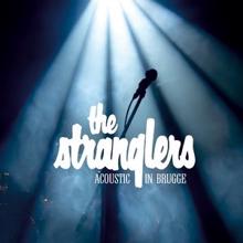 The Stranglers: Acoustic in Brugge