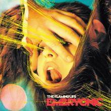 The Flaming Lips: Embryonic