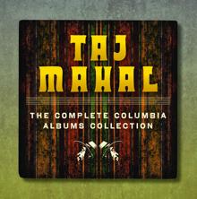 Taj Mahal: Going Up to the Country and Paint My Mailbox Blue (Live)