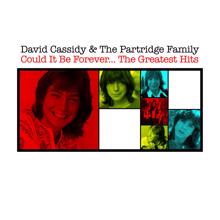 David Cassidy & The Partridge Family: Could It Be Forever - The Greatest Hits