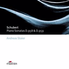 Andreas Staier: Schubert : Piano Sonatas Nos 19 & 20