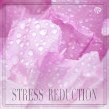 Rain Sounds: Stress Reduction