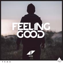 Avicii: Feeling Good