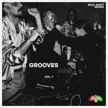 Various Artists: Grooves, Vol. 7