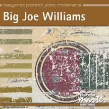 Big Joe Williams: Beyond Patina Jazz Masters: Big Joe Williams