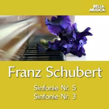 Virtuosi di Praga, Romano Gandolfi: Sinfonie No. 5 für Kammerorchester in B Major, D. 485: III. Menuetto. Allegro molto
