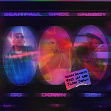 Spice: Go Down Deh 200m Remixes (feat. Shaggy & Sean Paul)