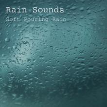 Rain Sounds: Soft Pouring Rain