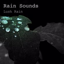 Rain Sounds: Lush Rain