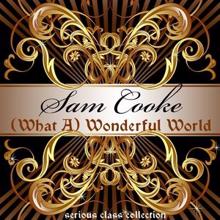 Sam Cooke: (What a ) Wonderful World