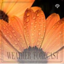 Rain Sounds: Weather Forecast