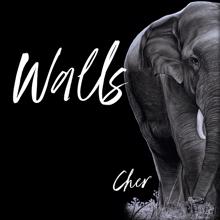 Cher: Walls