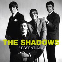The Shadows: A Place in the Sun