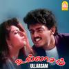 Karthik Raja: Ullaasam (Original Motion Picture Soundtrack)