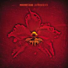 Machine Head: Enter the Phoenix