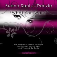 Sueno Soul: What You Want