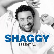 Shaggy: Essential