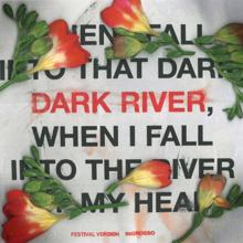 Sebastian Ingrosso: Dark River (Festival Version)