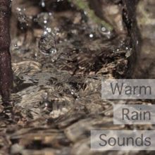 Rain Sounds: Warm Rain Sounds