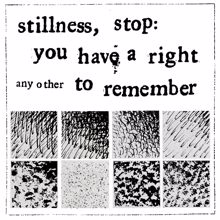 Any Other: stillness, stop: you have a right to remember