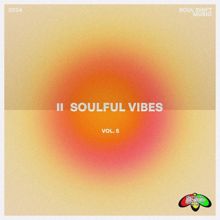 Various Artists: Soulful Vibes, Vol. 5