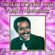 Andy Montañez: Colección de Oro: El Espectacular Andy Montañez, Vol. 2