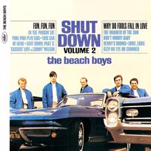 The Beach Boys: Shut Down, Vol. 2 (Mono & Stereo) (Shut Down, Vol. 2Mono & Stereo)