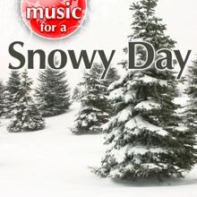 Weather Delight: Music For A Snowy Day