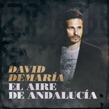 David DeMaría: El aire de Andalucía