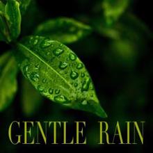 Rain Sounds: Gentle Rain