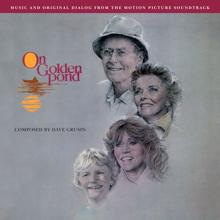 Dave Grusin: Career Opportunities/Back Porch Confessional (Norman & Ethel)