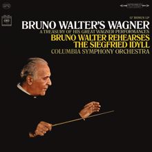 Bruno Walter: Bruno Walter's Wagner