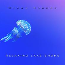 Ocean Sounds: Relaxing Lake Shore