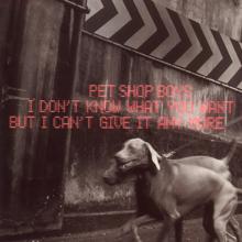 Pet Shop Boys: I Don't Know What You Want But I Can't Give It Anymore