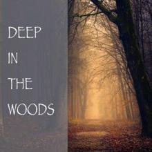 Rain Sounds: Deep in the Woods